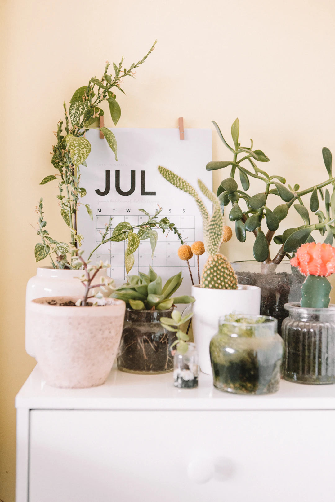 Como o Minimalismo Transforma Sua Decoração