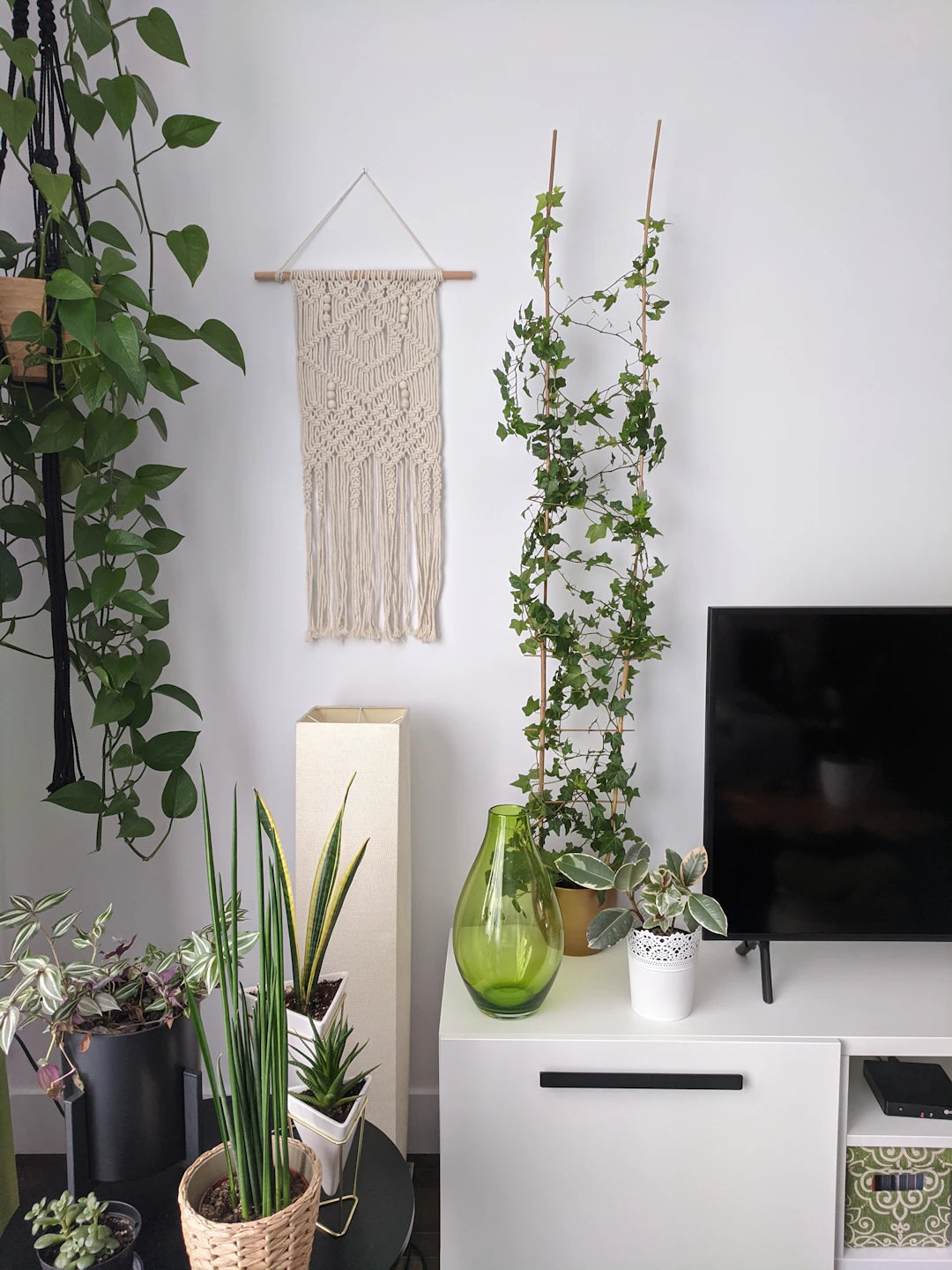 Transforme Seu Ambiente O Papel das Plantas na Decoração